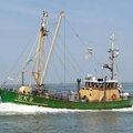 Shrimp Trawler - picture 2